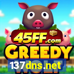137dns.net