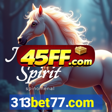 313bet77.com