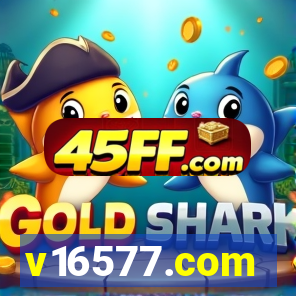 v16577.com