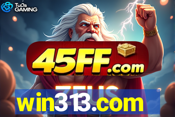 win313.com