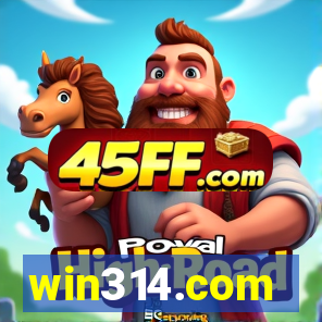 win314.com