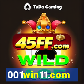 001win11.com