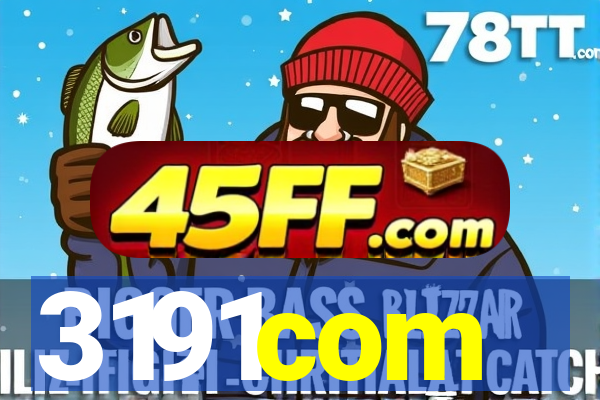 3191com