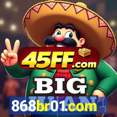 868br01.com