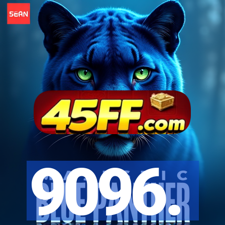 9096.