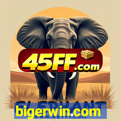 bigerwin.com