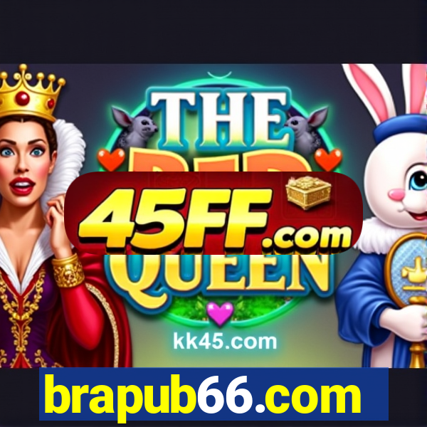 brapub66.com
