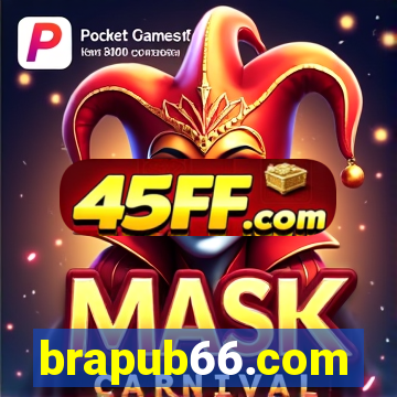 brapub66.com