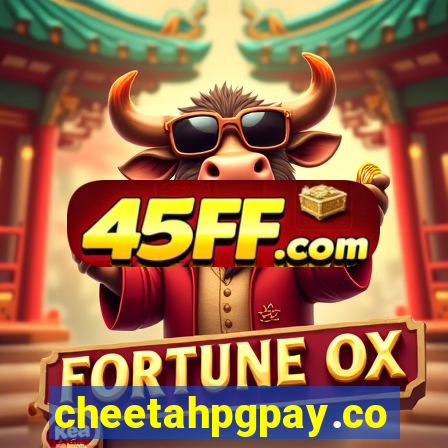 cheetahpgpay.com
