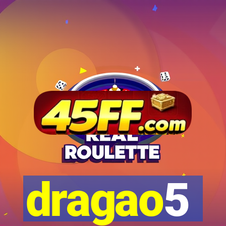 dragao5