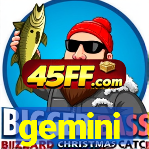 gemini-pp.com
