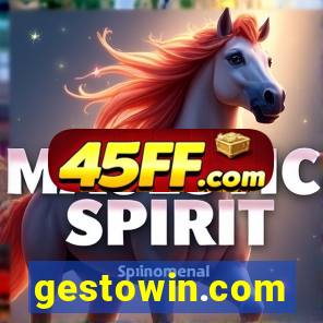 gestowin.com
