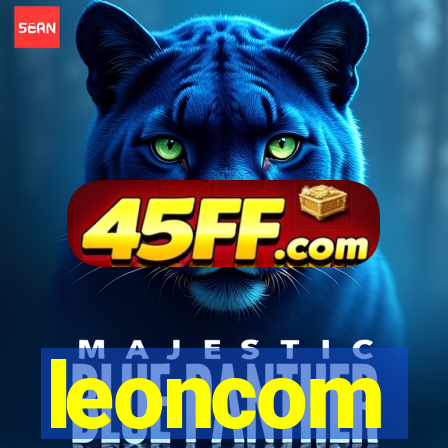 leoncom
