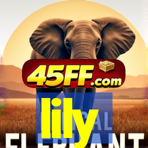lily-dh.com