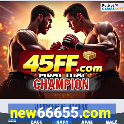 new66655.com