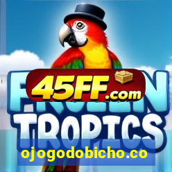ojogodobicho.com