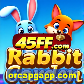 orcapgapp.com