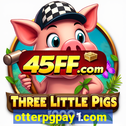 otterpgpay1.com