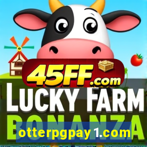 otterpgpay1.com