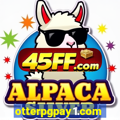 otterpgpay1.com