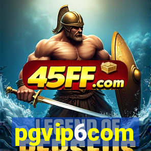 pgvip6com