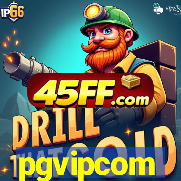 pgvipcom