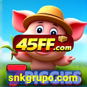 snkgrupo.com