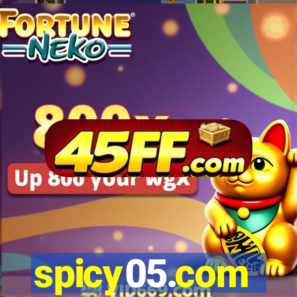 spicy05.com