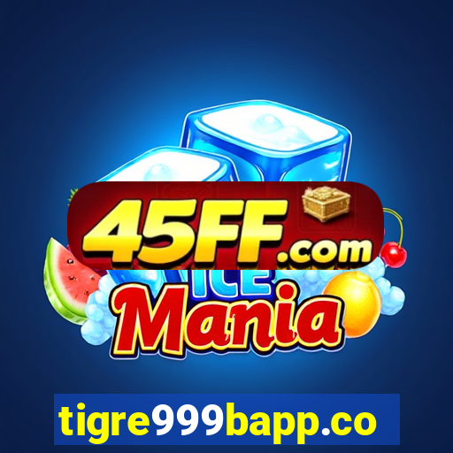 tigre999bapp.com