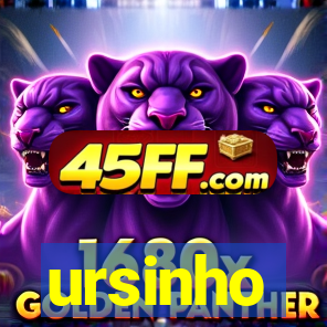 ursinho-pg.com