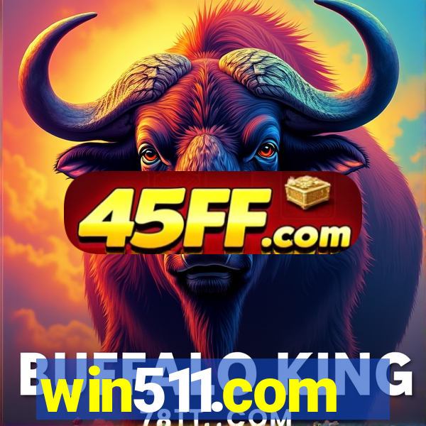 win511.com